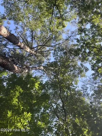 126 Deer Trail Beaufort NC 28516