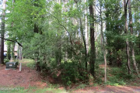 20 Teal Road Merritt NC 28556