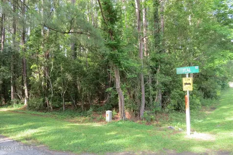 20 Teal Road Merritt NC 28556