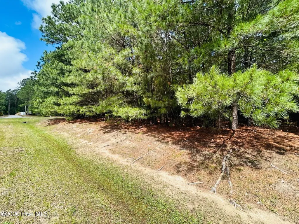 38 Calm Harbor Street Hertford NC 27944