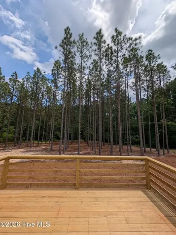521 Veronica Way West End NC 27376