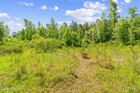 5840 Green Swamp Road NW Ash NC 28420