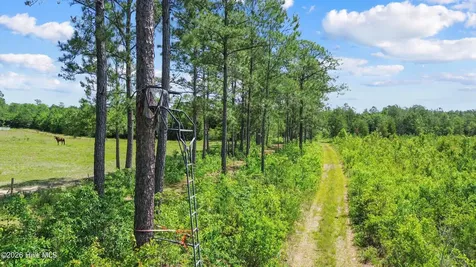 5840 Green Swamp Road NW Ash NC 28420