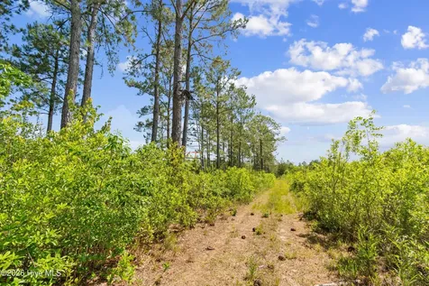 5840 Green Swamp Road NW Ash NC 28420