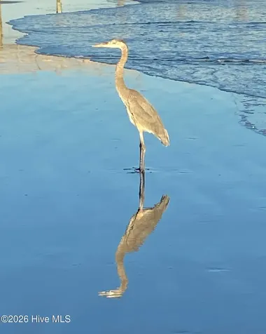 960 Great Egret Circle SW Sunset Beach NC 28468