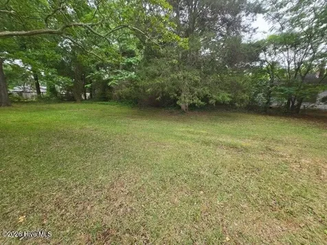 1115 Hargrove Street Rocky Mount NC 27801