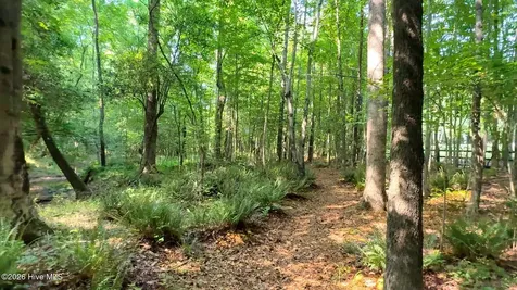 644 Bracken Hill Road Cameron NC 28326