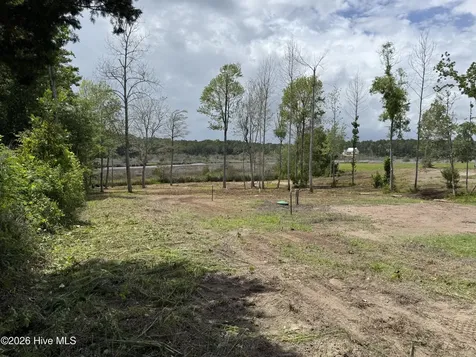 145 Misty Hollow Lane Sneads Ferry NC 28460