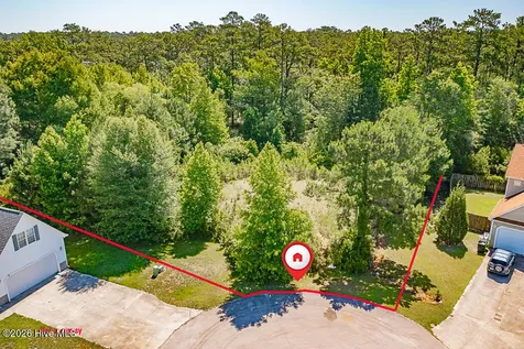 125 Quarter Horse Run Havelock NC 28532
