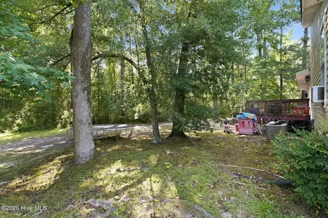 11620 Mistletoe Drive Laurinburg NC 28352