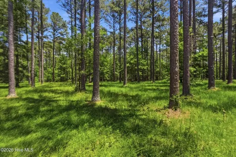 130 Ocracoke Drive Oriental NC 28571