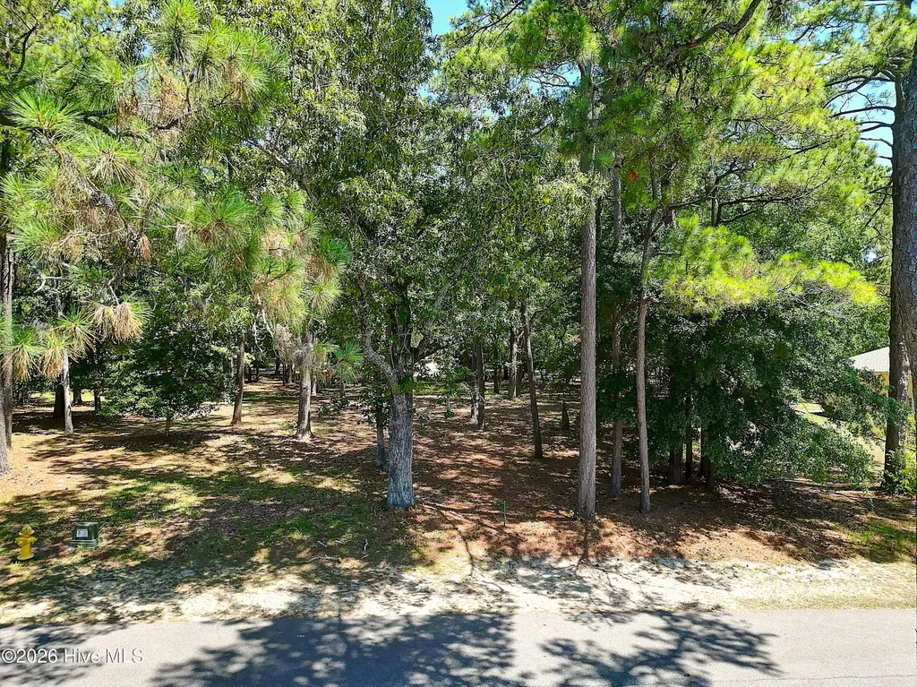 3252 Marsh View Drive SW Supply NC 28462