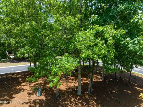 1568 Brushwood Court SE Bolivia NC 28422
