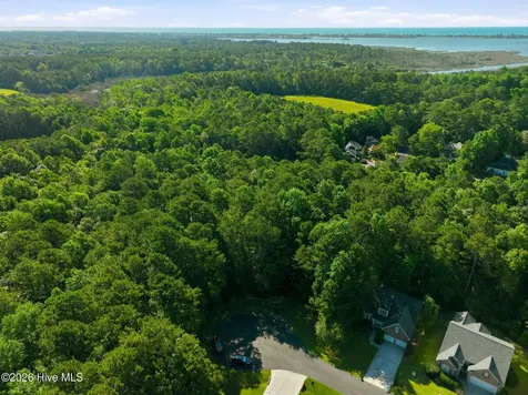 110 Bridge Tender Cove Sneads Ferry NC 28460