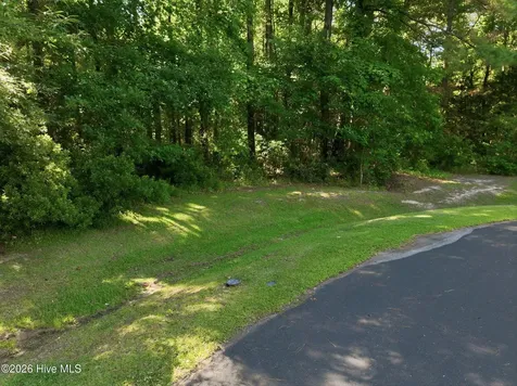 110 Bridge Tender Cove Sneads Ferry NC 28460