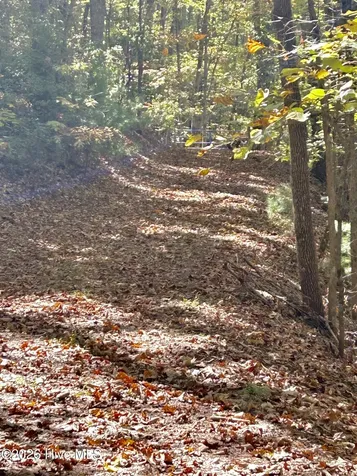 Lot 1,2 Royal Oaks Trail Brasstown NC 28902