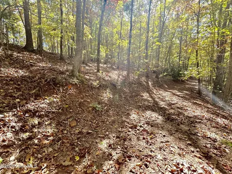 Lot 1,2 Royal Oaks Trail Brasstown NC 28902