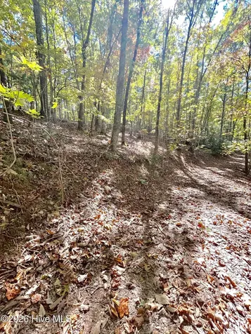 Lot 1,2 Royal Oaks Trail Brasstown NC 28902