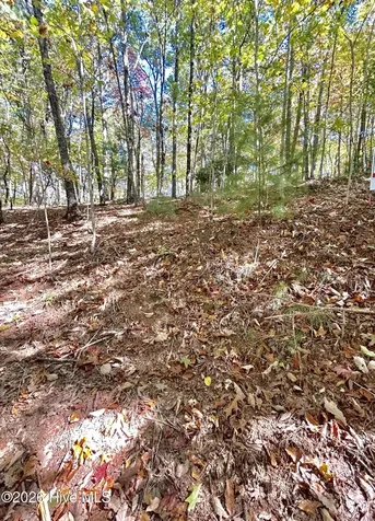 Lot 1,2 Royal Oaks Trail Brasstown NC 28902