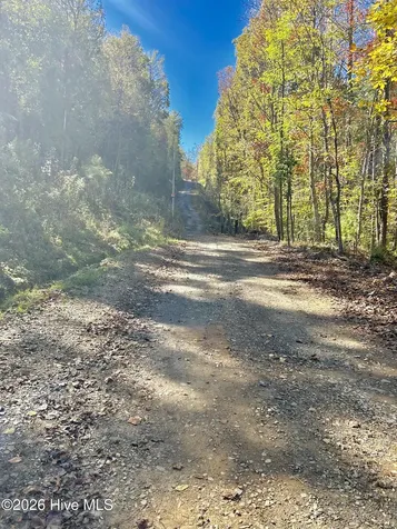 Lot 1,2 Royal Oaks Trail Brasstown NC 28902