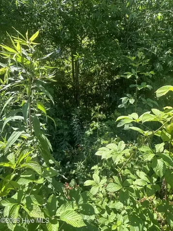 Tbd Nc Highway 705 Robbins NC 27325