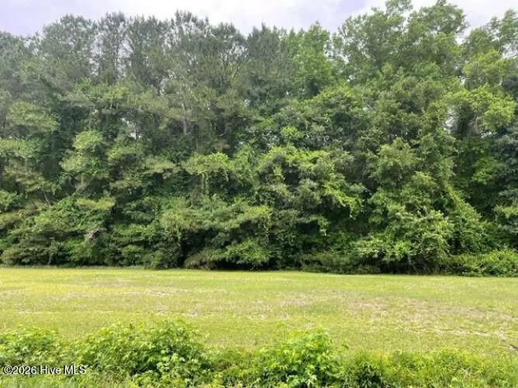 Tbd Point Caswell Road Watha NC 28478
