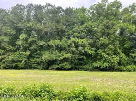 Tbd Point Caswell Road Watha NC 28478