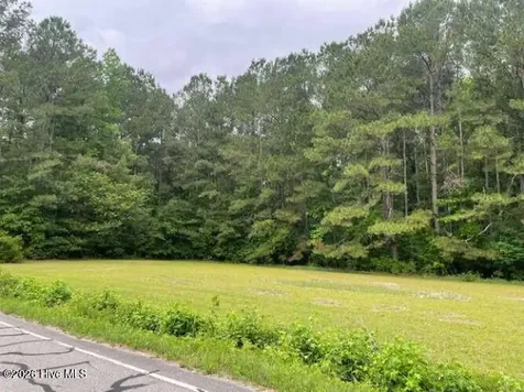 Tbd Point Caswell Road Watha NC 28478