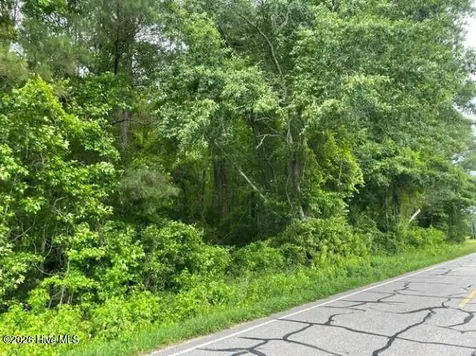 Tbd Point Caswell Road Watha NC 28478