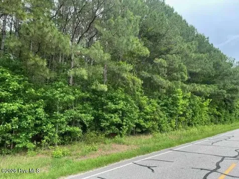 Tbd Point Caswell Road Watha NC 28478