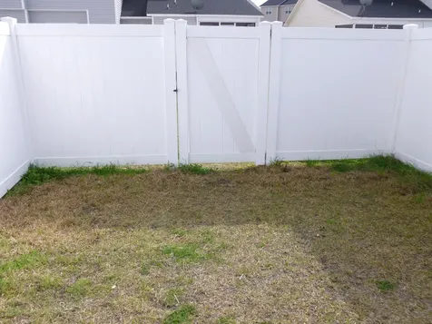 257 Caldwell Loop Jacksonville NC 28546