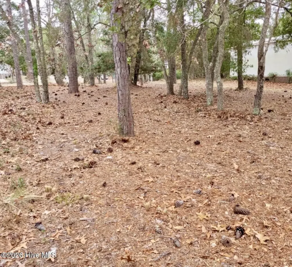 3317 Marlin Drive SE Bolivia NC 28422