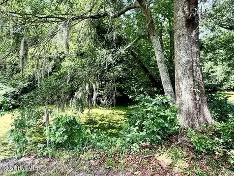 Lt 284-288 Near 250 Waccamaw Sh Road Lake Waccamaw NC 28450