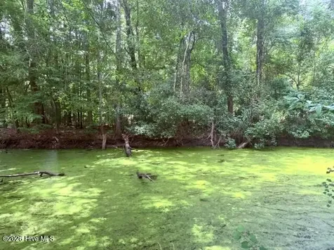 Lt 284-288 Near 250 Waccamaw Sh Road Lake Waccamaw NC 28450