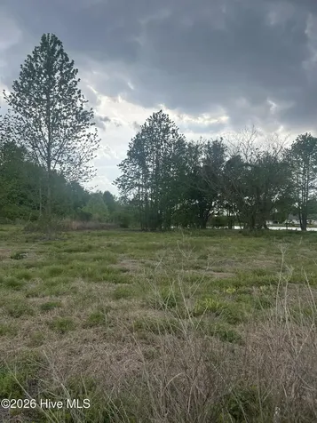 Lot 3 Crumpler Lake Lane Clinton NC 28328