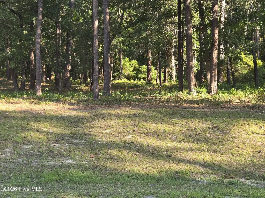 3840 Timber Stream Drive Southport NC 28461