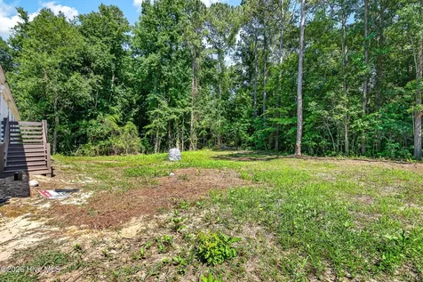304 Washington Creek Drive Willard NC 28478
