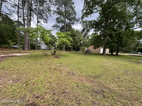 11541 Pinecroft Street Laurinburg NC 28352