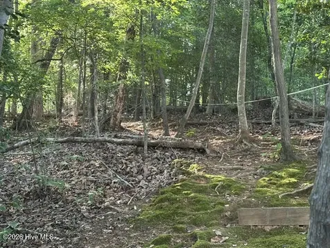 194 Ingrams Mill Road Ellerbe NC 28338