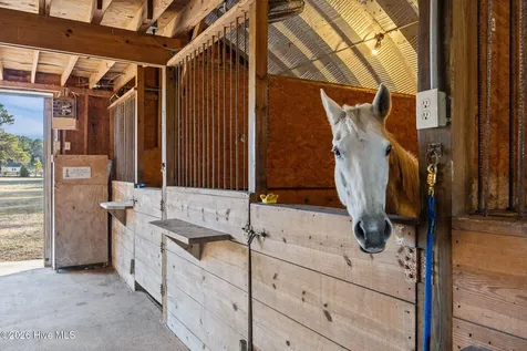 108 Young Rider Lane Grandy NC 27939