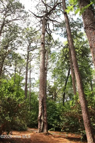 195 Little Road Southern Pines NC 28387