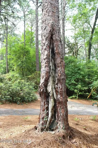 195 Little Road Southern Pines NC 28387