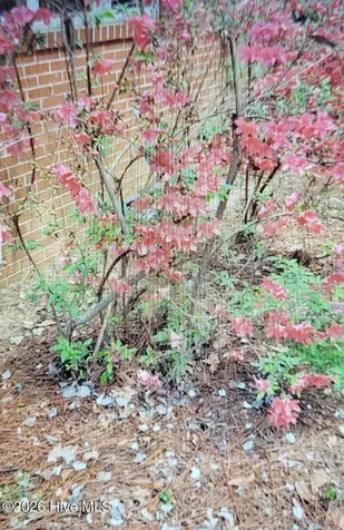 195 Little Road Southern Pines NC 28387