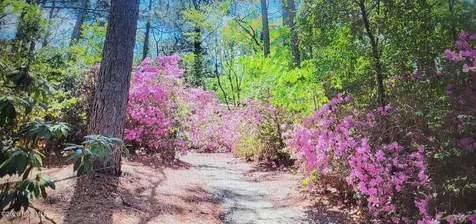 195 Little Road Southern Pines NC 28387