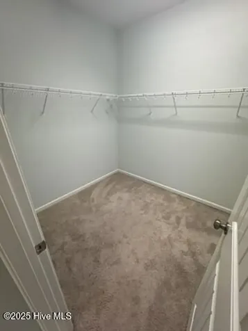 78 Violetear Ridge Hampstead NC 28443