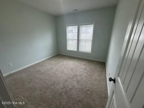 78 Violetear Ridge Hampstead NC 28443