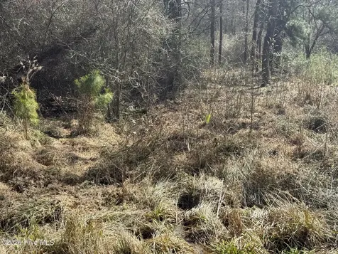 269 Creek Road Bath NC 27808