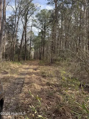 269 Creek Road Bath NC 27808