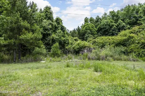 0 Near 4868 Delco Prosper Road Delco NC 28436