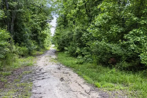 0 Near 4760 Delco Prosper Road Delco NC 28436